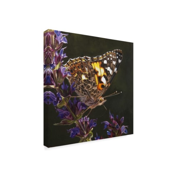 Rusty Frentner 'Yellow Butterfly' Canvas Art,24x24